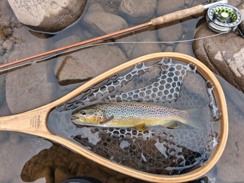 Split cane rod and an Usk trout - Ben Garnett
